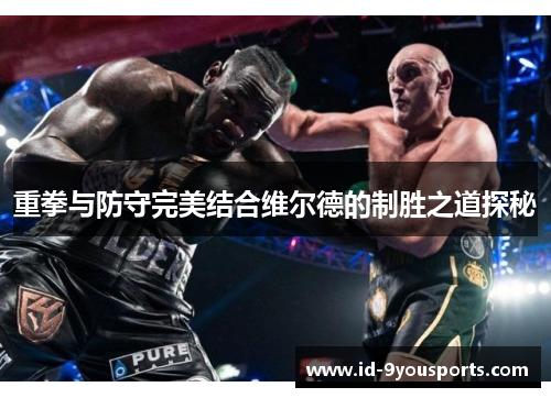 重拳与防守完美结合维尔德的制胜之道探秘