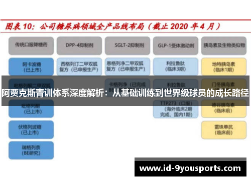 阿贾克斯青训体系深度解析：从基础训练到世界级球员的成长路径