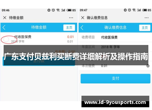 广东支付贝兹利买断费详细解析及操作指南